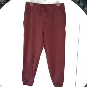 Lululemon Mauve Scuba Lululemon Joggers Pants Sweat Pants Size 10